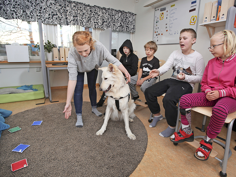 Läshund- skolhund-terapihund
