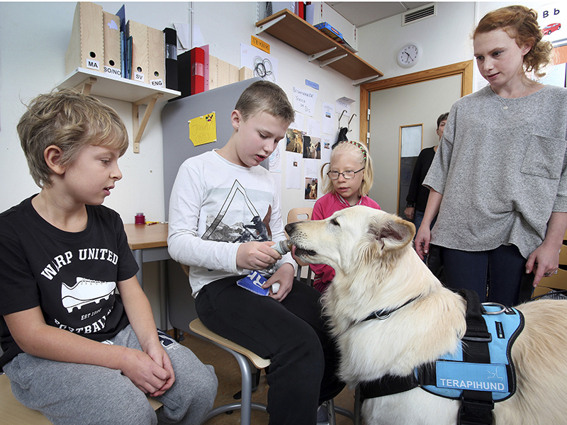 Läshund