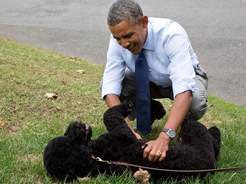 obama-historiska-hundar