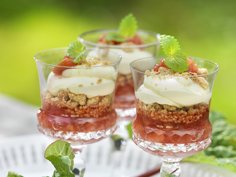 Rabarberdessert med vit choklad