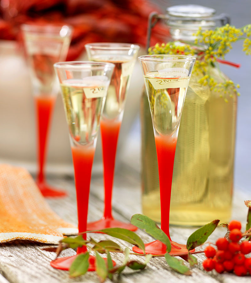 recept-citronsnaps