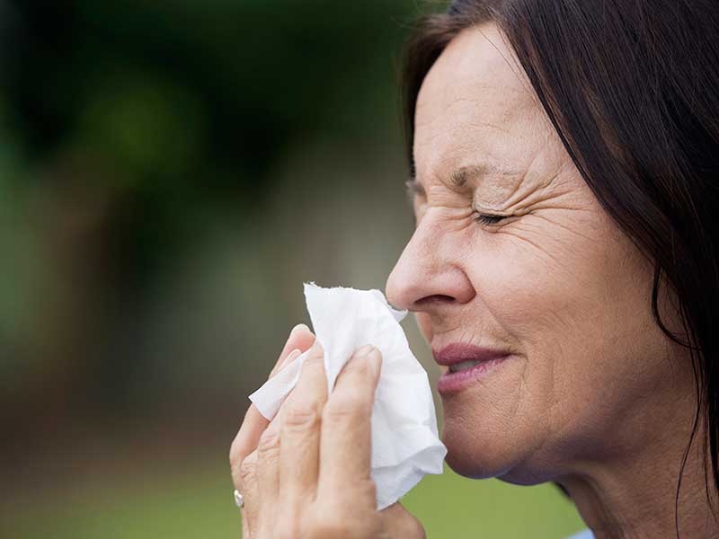 pollenallergi symptom feber pollenallergi symptom feber