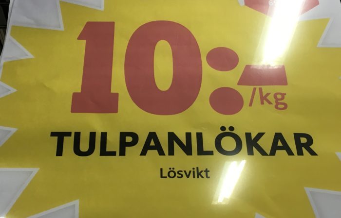 Nu är dt fyndläge på tulpanlökar – men se till att de är välmående och inte hoptorkade eller mögliga.