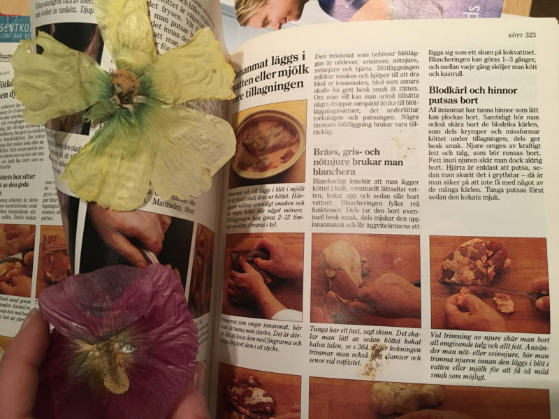 pressade blommor