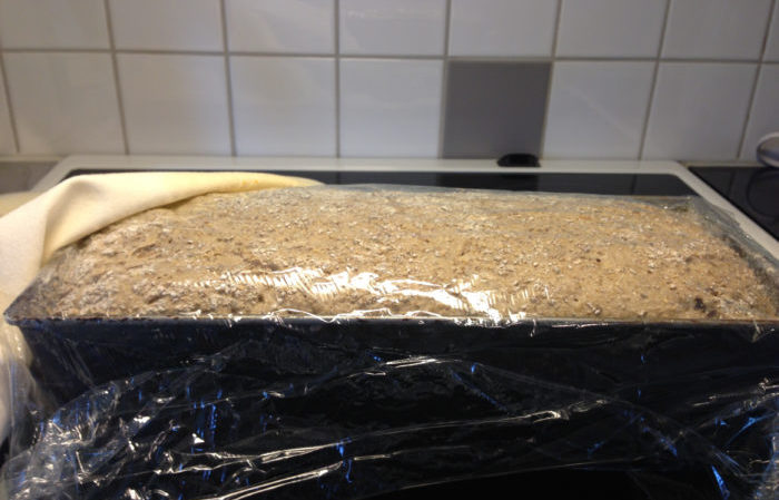 Lättbakat grovbröd av surdeg (du behöver ingen surdeg)