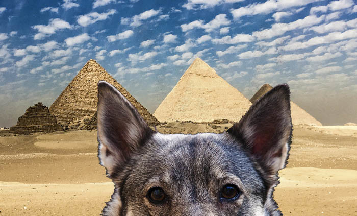Det är lika bra att dra till ordentligt direkt. Hur många västgötaspetsar har sett pyramiderna i Egypten. Här har du beviset att jag varit där. Förra veckan faktiskt.