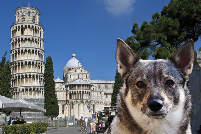 Klart att du ska ha kända turistmål, som alla känner till. Lutande tornet i Pisa är ett bra exempel på en turistfälla av stora mått. Tittar du riktigt noga, så ser du en västgötaspets till på bilden. Det är Sverker.
