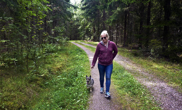 Precis så här kan det se ut när jag är ute och går. Det är min Agnes och jag som tar en stärkande skogspromenad. Min husse var med också, men han håller i kameran.