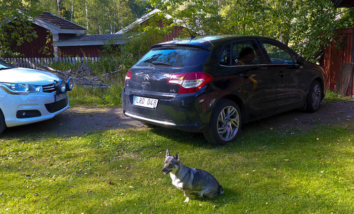 Här hemma hos mig har vi alltid fri parkering. Du är välkommen också. På grund av den goda tillgången av platser, så behövs det ingen särskild handikappsplats heller. Vi utdelar aldrig p-böter och det var ju här min Pers bil var parkerad.