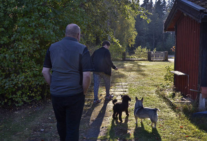 Ola ska åka hem och min resursmatte och Charlie ska ta en skogspromenad med mig. Charlie behöver lära sig en del om skogen och jag är den bästa läraren. Fast han har mycket kvar att lära. Mer om det imorgon.