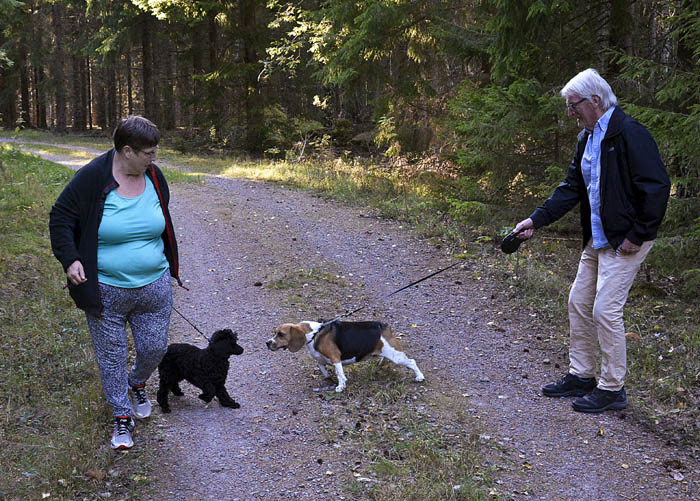 Det kan vara en bra övning att möta en främmande hund (=en Max) då och då. Då lär man sig att uppföra sig som man ska. Jag har redan passerat på ett exemplariskt sätt, nu är det Charlies tur att hälsa. Resursmatte lär sig att hälsa på min granne Hasse.
