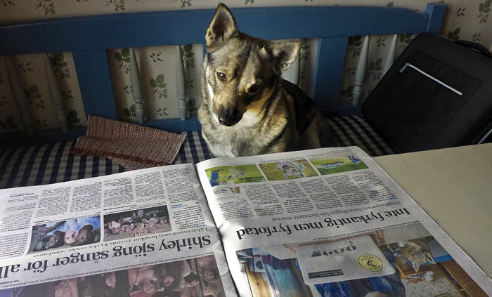 Kan det bli bättre än så här? Jag begrundar och beundrar den utmärkta artikeln om mig i måndagens Tranås Tidning.
