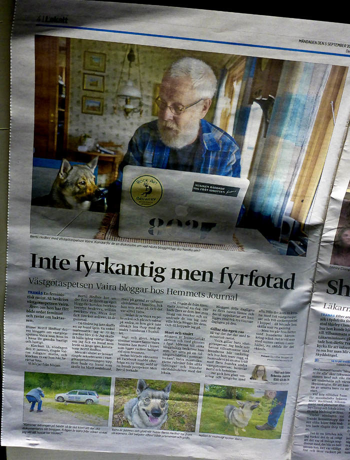Så här ser helsidan ut. Kanske är min husse lite onödigt dominerande på den stora bilden, men det är typiskt män. Alltid ska de tränga sig före det som är intressant (=jag Vaira).
