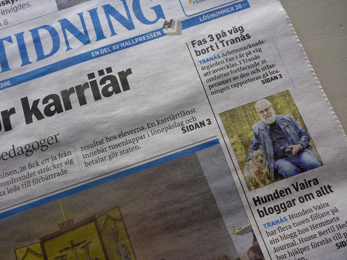 Ettapuffen är lite väl ynklig. En helsida hade varit lite mer relevant, med tanke på reportagets betydelse.