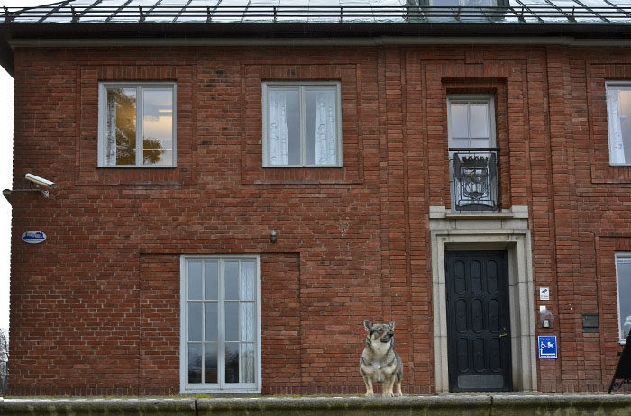 Här, på stadshusets dörrar, kommer det snart spikas upp inte mindre än 102 teser. Det är sju fler än vad den gamle hyllade antisemiten Martin Luther klarade av. Jag är bättre än han i allt!