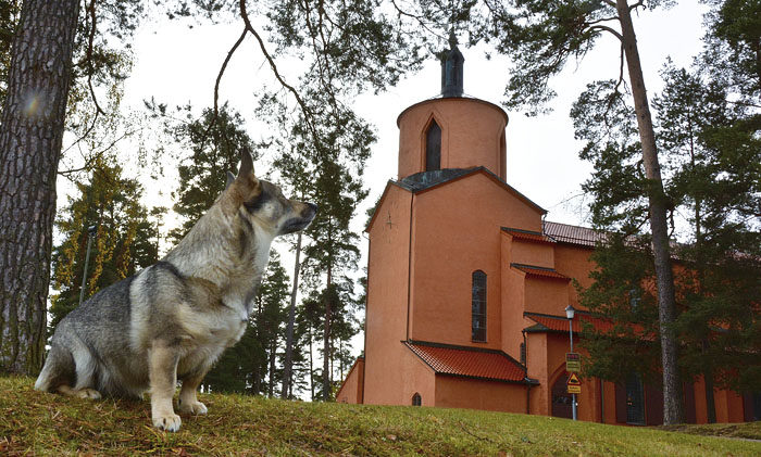Detta är Tranås kyrka och så jag förstås (till vänster). Denna kyrka är väldigt märkvärdig, eftersom dess första kantor var husses farfar. Den är dessutom ganska ny och sålledes fin.