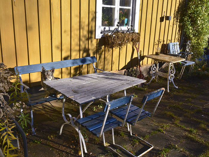 Soliga hörnan gör minsann skäl för namnet, som du ser. I morgon ska vi flytta på de möblerna. Åt vilket håll får man bestämma själv.