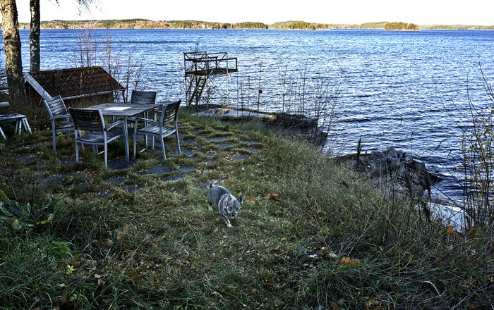 Min Agnes uteplats låg i skugga när bilden togs, men på Östergötland skiner solen. Det är fusk, anser jag. Alla stolar och bordet finns dock där. Vi kanske vrider lite på dem i morgon, för flyttas ska de ju.