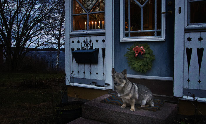 Detta är vad som möter besökarna hos mig. En vacker julkrans på dörren, tillverkad av Bitte och Åke, och en adventsstake i fönstret. Visst är det fint?