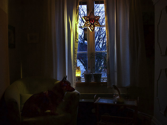 En adventsstjärna hängdes i fönstret mot Lasse och Malene. Bakom kudden i fåtöljen, som jag sitter i, ligger två väl gömda tuggben. Det vet inte Charlie om.