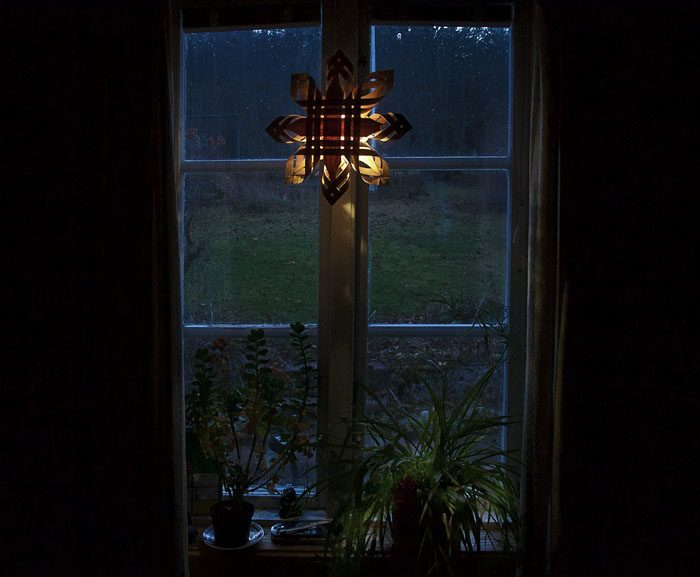 Mot vägen ser det ut så här från advent och till ett tag efter påsk. Ampelliljan i fönstret är väldigt viktig. Min Per plockade de ursprungliga skotten från en förvildad planta i Jugoslavien 1984. Min David plockade en sköldpadda.