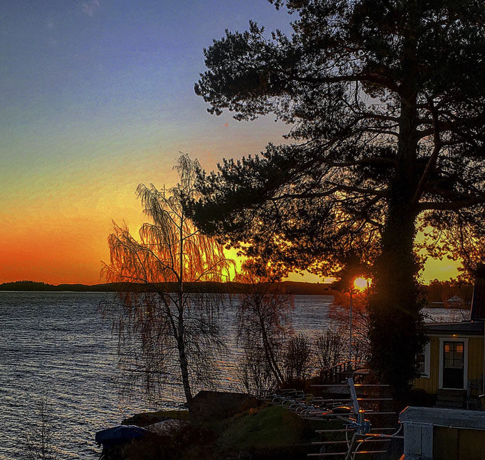 Det här hinner minsann min husse med. Gå ut på balkongen och fotografera en uppgående sol med hjälp av sin extradyra telefon. Tänk vad tuggben jag hade kunnat få istället, för inköpet av den telefonen. Dessutom går solen upp varje dag.