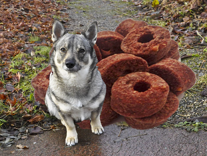 Låt 2017 bli året då jättehundgodis är årets julklapp. Ingen skulle bli gladare än jag. Eftersom varken år 2017 eller jättehundgodis finns än, har jag gjort ett fotomontage (=fuskat), för att få denna bild.