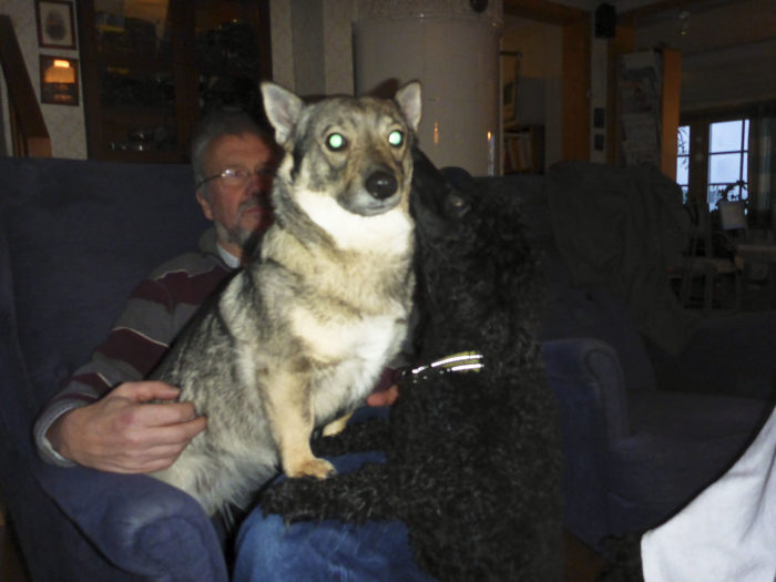 Min matte tyckte av jag och Charlie var så söta, så hon tog en bild av oss. Som du ser så sitter jag i resurshusse knä, samtidigt som Charlie försöker bita mig i kinden. Inte så sött tycker jag. Men bilden blev inte så bra.