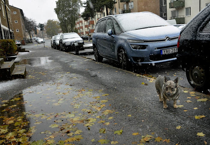 Detta är säkert första gången som det snöar på min bil. Jag tror att den längtar till sydligare trakter (=Tranås), så den slipper frysa. Dessutom är den kanske blyg, så den inte vill vara parkerad bland så många andra främmande bilar.