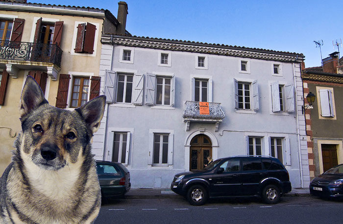 Visst vore väl det här huset ett stilenligt presidentpalats för mig? Det är visserligen bara sex rum och kök, men min husse har sagt att rummen är större än i mitt hus jag bor i nu. Min husse och jag skulle bara bo på undervåningen, så får resten vara gästrum. Gäster är roligt. (Bilden är en fuskbild. Jag har inte varit där.)