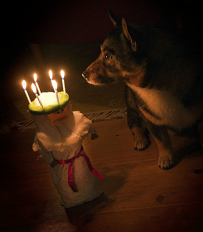 Sverker fick inte vara Lucia. Han var mer stilig än vacker. Fast han gjorde en fin Lucia själv. Du kan själv göra en likadan, om du tittar efter hur han gjorde sin.