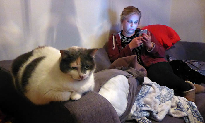 Är det så här man ska fira en namnsdag? Istället för att hoppa och dansa med en Vaira, så sitter min Agnes i soffan och leker med sin telefon, samtidigt som hon vaktas av en fransk katta.