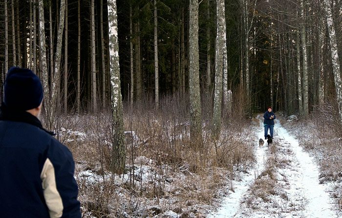 Budföring går till så att man placerar ut två godishållare med ett visst avstånd till varandra. I detta fall hade jag resurshusse och resursmatte som godisautomater. Sen springer man fram och tillbaka mellan dem. Fast man får inte starta förrän man får order att göra så. Charlie fuskade och tjuvstartade ibland.