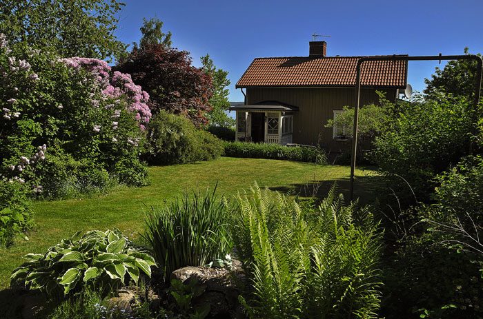 Det hade varit bättre att sälja huset i maj. Det här tror jag är mer säljande, än en kall blåsig och snöig tomt och ett ganska kallt hus (=min husse är snål).
