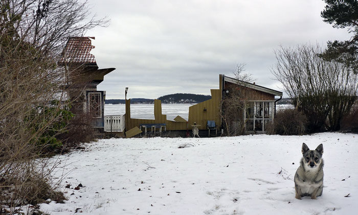 Du ska inte tro på allt du ser. Mitt hus har inte börjat rivas än, men jag låter dig skåda in i framtiden. Då kanske det kan se ut så här.
