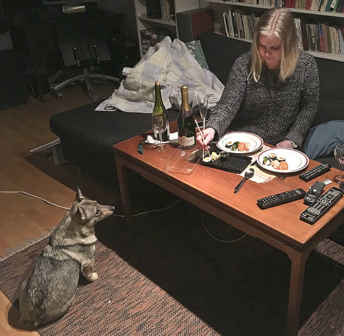 Det dukades till fest nere i källaren. Fast sushi och champagne är ganska kass. Det blir ingen fördisk av det. Som tur var, så var sushin bara förrätt, det kom annat efteråt.