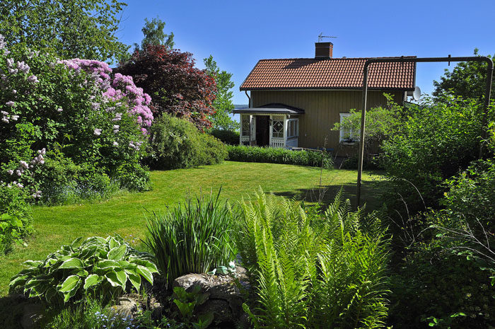 Du ser ju själv. Tänk vad löv och gamla blomblad det blir att räfsa upp i en sådan här vedervärdig trädgård. Och så fult huset är. Nej, det är bara att sätta grävskopan i alltihop.