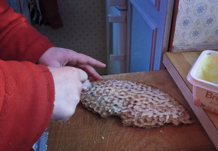 Nu har min Agnes vaknat som du ser. Hennes frukost lämnar mycket övrigt att önska. Fördiska knäckebrödssmulor på en tallrik, är väl kanske inte vad jag egentligen behöver. Då var min husses gröt bättre, även om blodpudding eller korv hade varit ännu bättre.