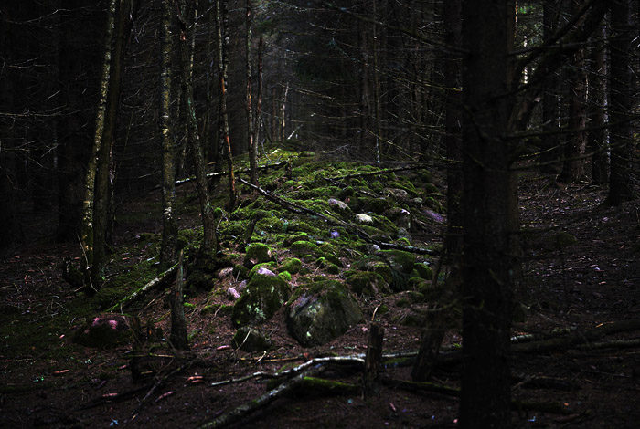 Mitt i skogen ligger denna mur, mödosamt bygd av några tidigare invånare. Varför gjordes då denna mur? Är det för att skydda sig från elaka invånare på andra sidan muren, eller …